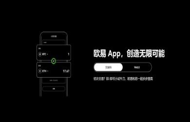 电脑登录欧意总卡顿?这份避坑指南能救急